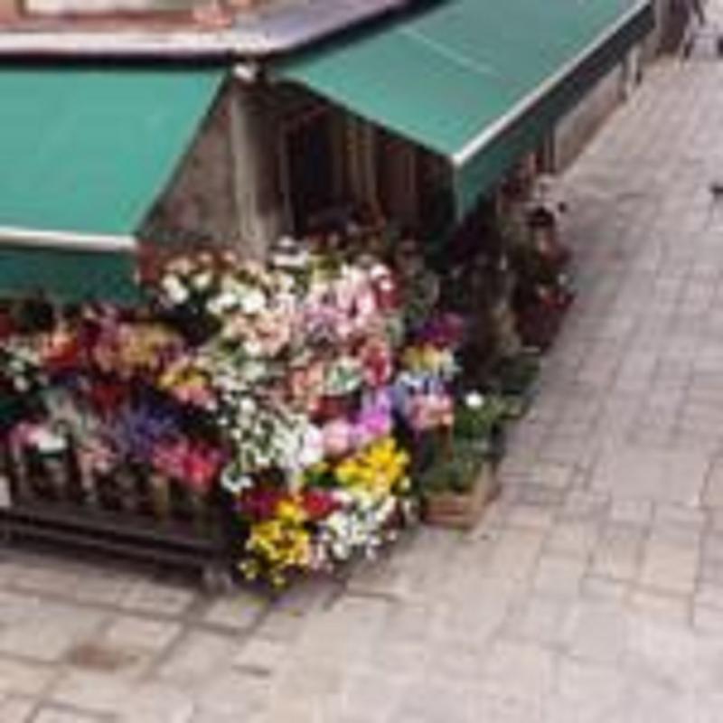 Angolo Fiorito Venedig